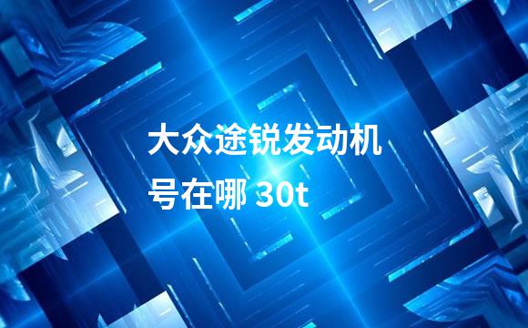 大众途锐发动机号在哪 30t